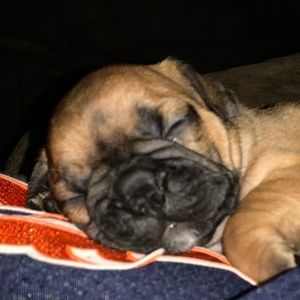 Meet your Posher, Crystal